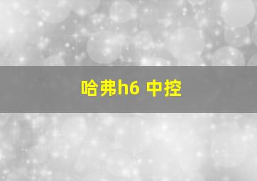 哈弗h6 中控